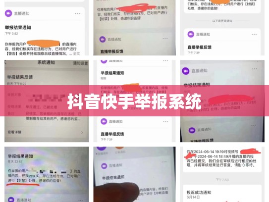 抖音快手举报系统