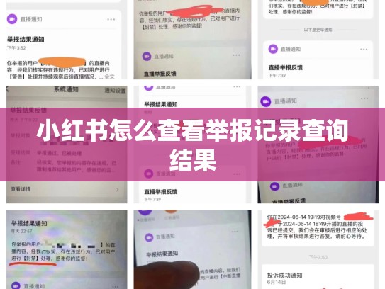 小红书怎么查看举报记录查询结果