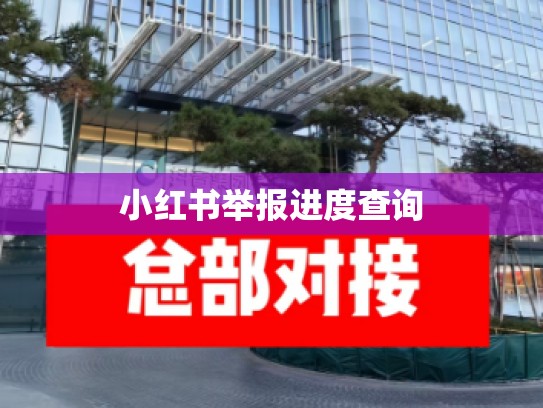 小红书举报进度查询