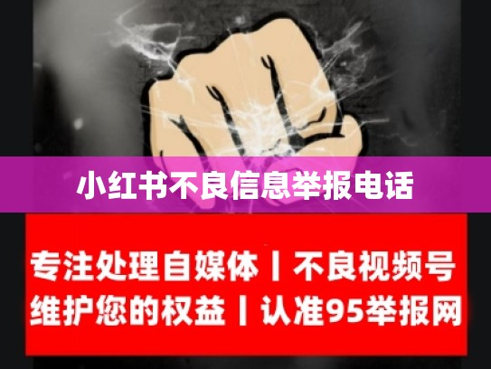 小红书不良信息举报电话