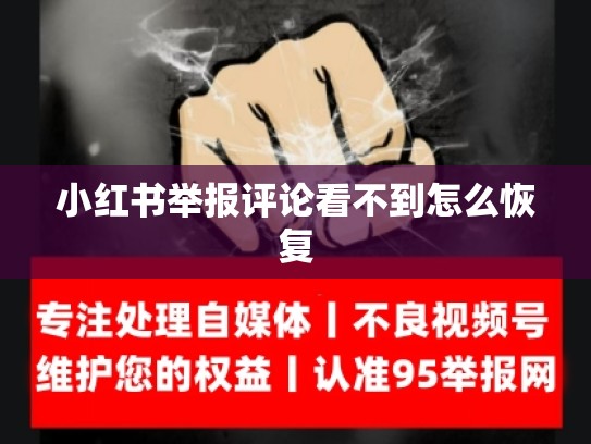 小红书举报评论看不到怎么恢复