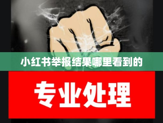 小红书举报结果哪里看到的