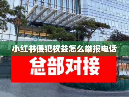 小红书侵犯权益怎么举报电话