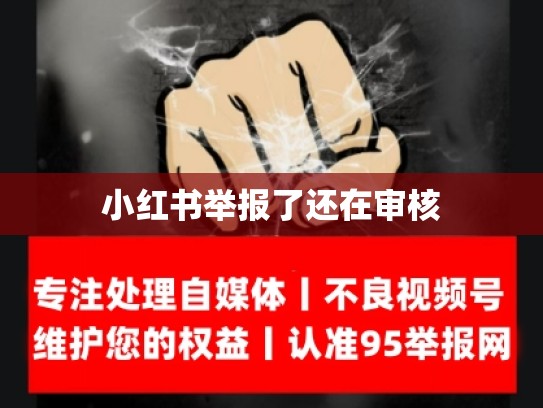小红书举报了还在审核