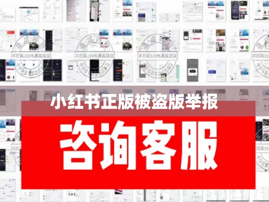 小红书正版被盗版举报