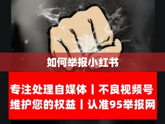 如何举报小红书