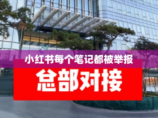 小红书每个笔记都被举报