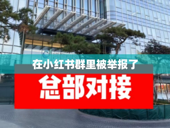 在小红书群里被举报了