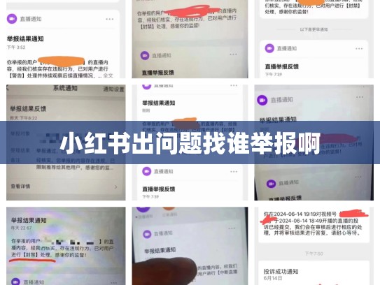 小红书出问题找谁举报啊