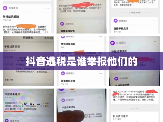 抖音逃税是谁举报他们的