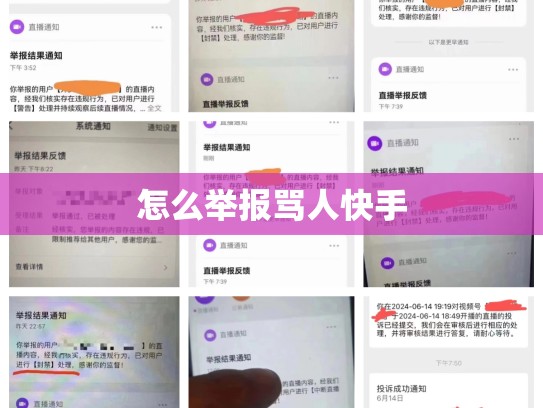 怎么举报骂人快手
