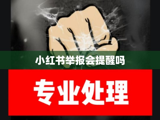 小红书举报会提醒吗