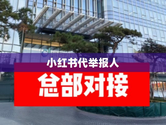 小红书代举报人