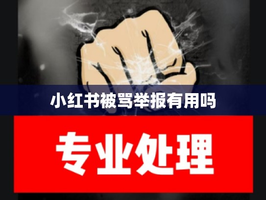 小红书被骂举报有用吗