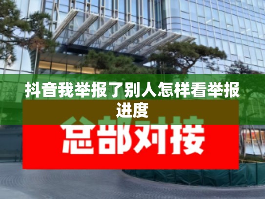 抖音我举报了别人怎样看举报进度