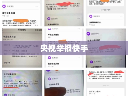 央视举报快手