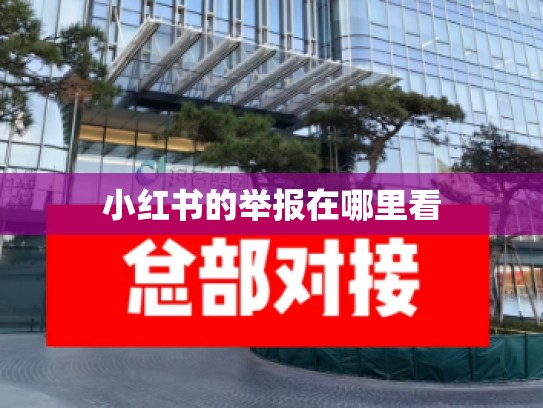 小红书的举报在哪里看