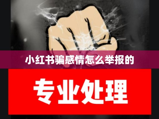 小红书骗感情怎么举报的