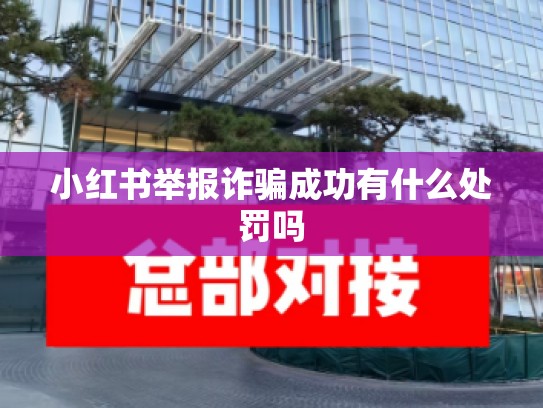 小红书举报诈骗成功有什么处罚吗