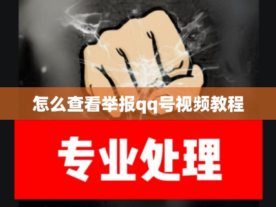 怎么查看举报qq号视频教程