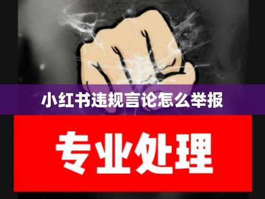 小红书违规言论怎么举报