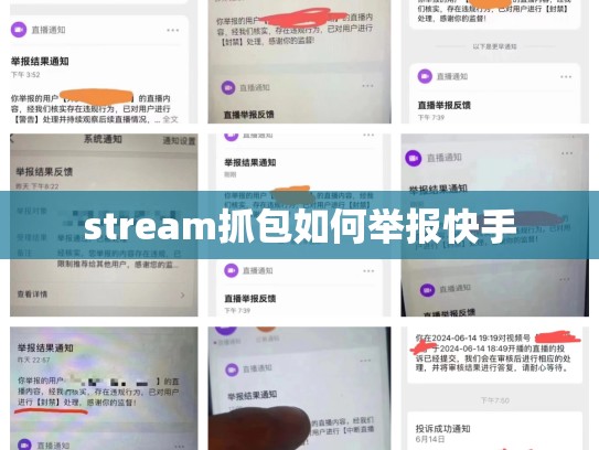 stream抓包如何举报快手
