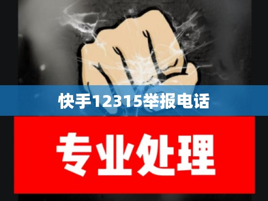 快手12315举报电话