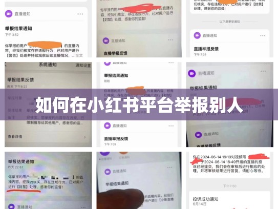 如何在小红书平台举报别人