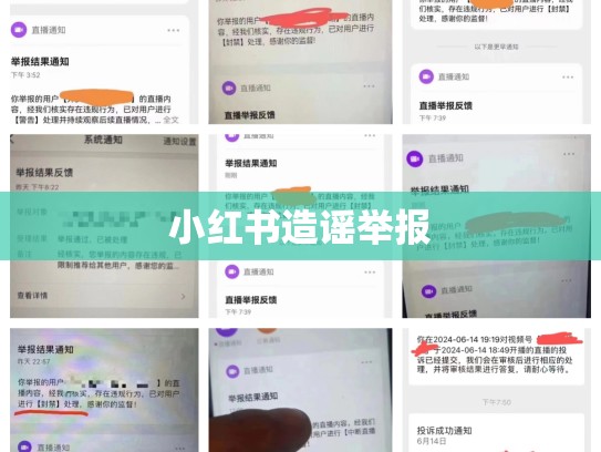 小红书造谣举报
