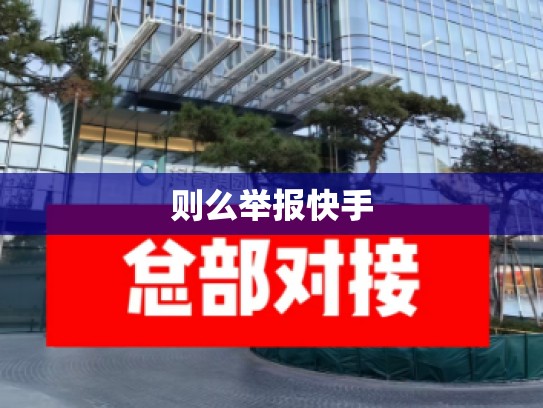 则么举报快手