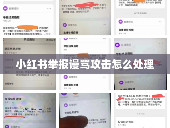 小红书举报谩骂攻击怎么处理