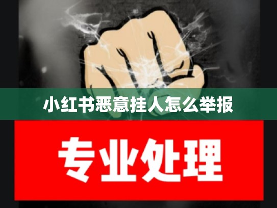 小红书恶意挂人怎么举报