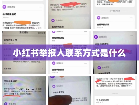 小红书举报人联系方式是什么