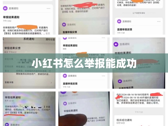 小红书怎么举报能成功
