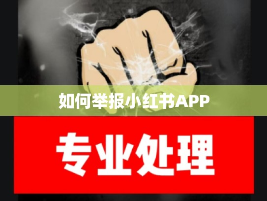 如何举报小红书APP