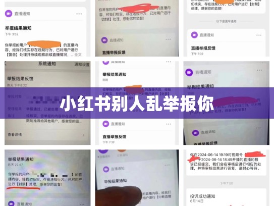 小红书别人乱举报你