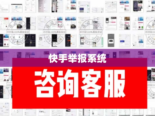快手举报系统