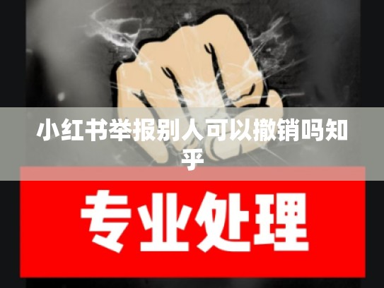 小红书举报别人可以撤销吗知乎