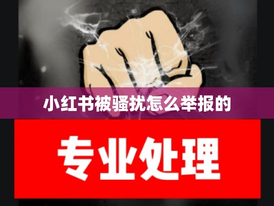 小红书被骚扰怎么举报的