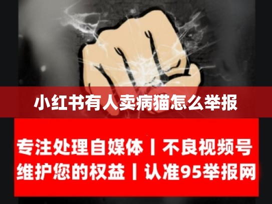 小红书有人卖病猫怎么举报
