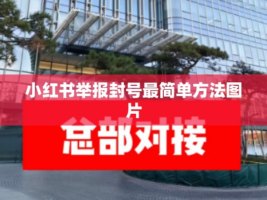 小红书举报封号最简单方法图片