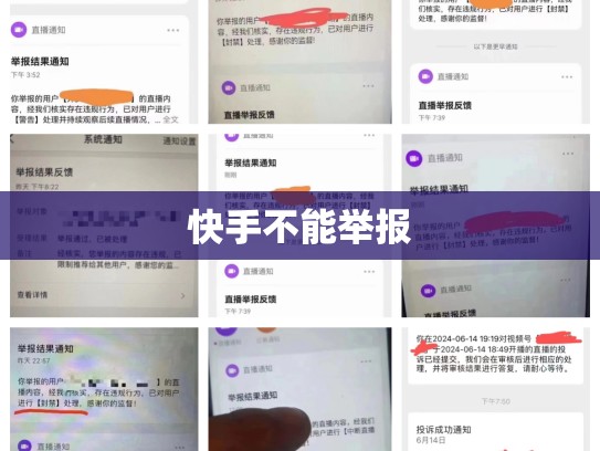快手不能举报