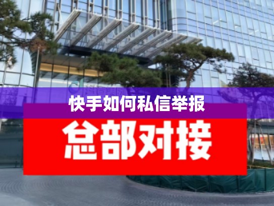 快手如何私信举报