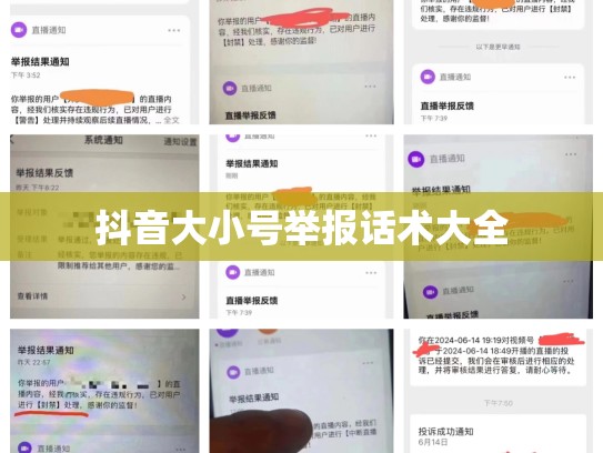 抖音大小号举报话术大全