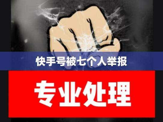 快手号被七个人举报