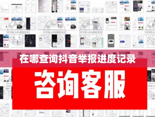 在哪查询抖音举报进度记录
