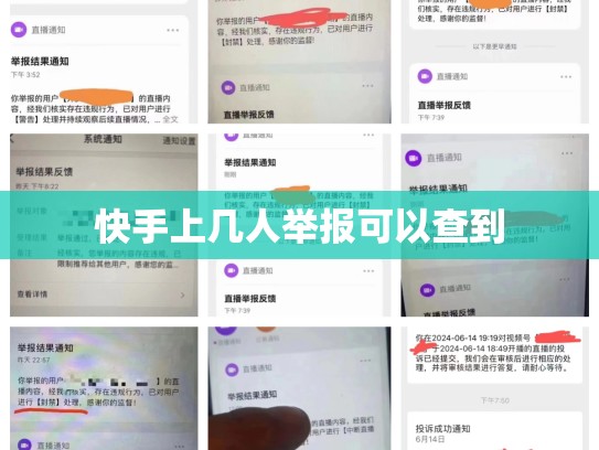 快手上几人举报可以查到