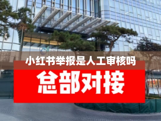 小红书举报是人工审核吗