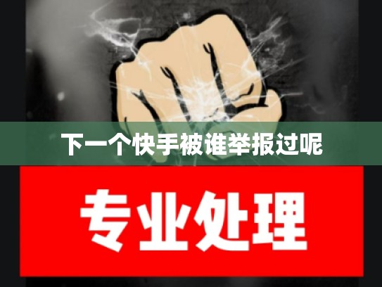 下一个快手被谁举报过呢