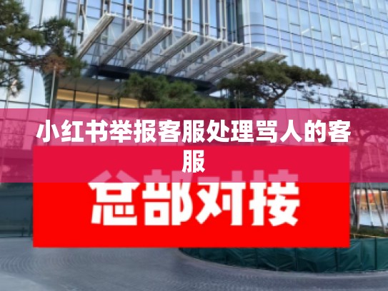 小红书举报客服处理骂人的客服